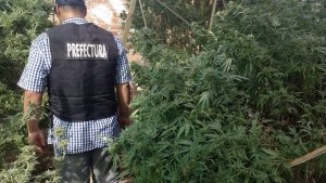 Secuestran cocaína, marihuana y un arma en una casa de Neuquén, hay cuatro detenidos