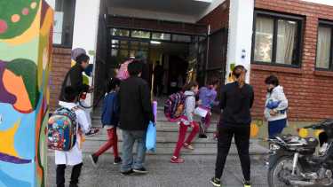 Padres denunciaron que hay murciélagos en la Escuela 168 en Roca