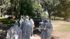 Detectan otro caso de gripe aviar en Las Lajas y es el séptimo en Neuquén
