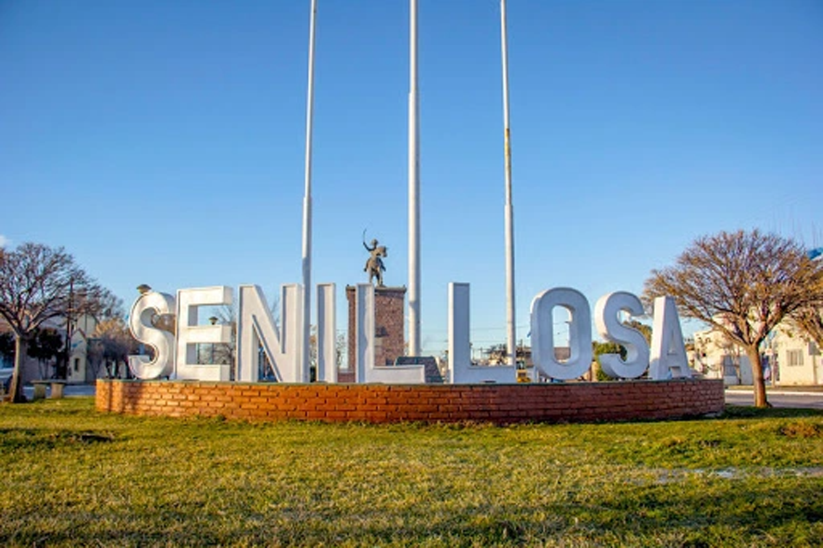 El caso más reciente de gripe aviar en Neuquén, se detectó en Senillosa. Foto: Archivo.