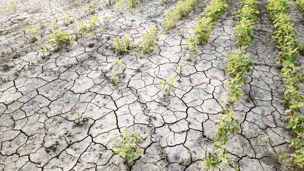 Complicado. La sequía histórica que azota al campo dificulta la ecuación fiscal de 2023.