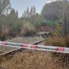 Imagen de Bariloche: investigan la muerte de un hombre al que embistió supuestamente el Tren Patagónico