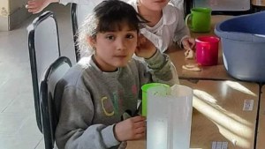 La madre de Valentina, la nena que murió atropellada en Neuquén, respondió las acusaciones