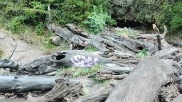 El graffiti fue plasmado con pintura sobre un tronco "muerto" en las inmediaciones de un salto de agua en el parque Nahuel Huapi. Gentileza