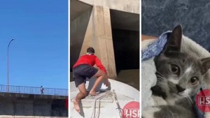 Video| Tiró a su gato de un puente en Santa Fe y quedó grabada: un guardavidas logró rescatarlo