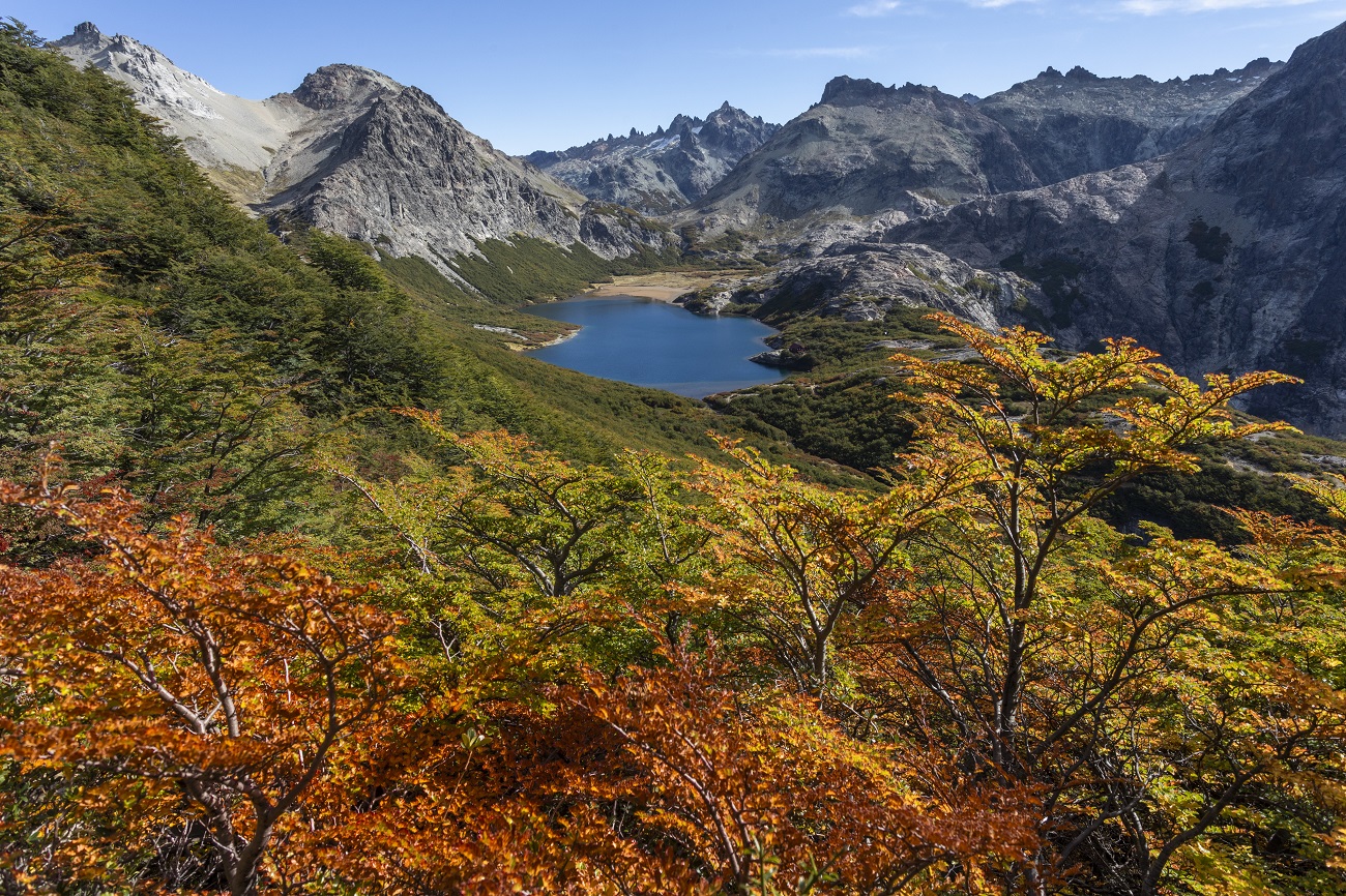 Naturaleza en toda su dimensión para disfrutar en Bariloche.