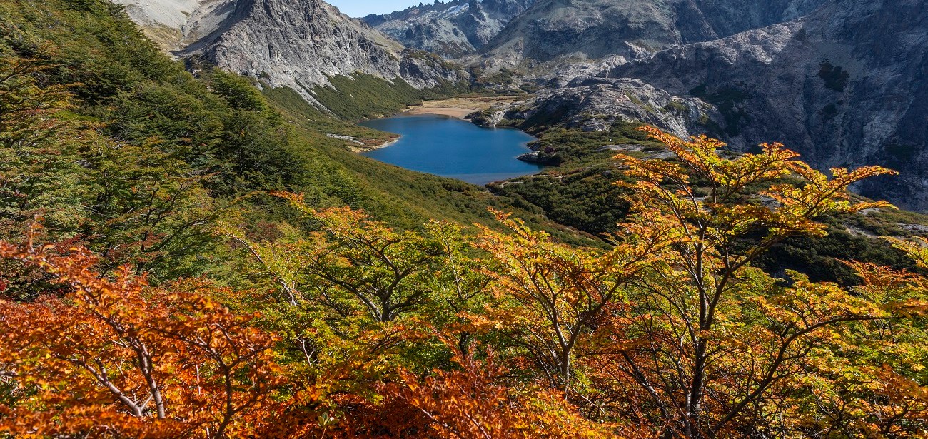 El otoño despierta todos los sentidos en la Cordillera de los Andes