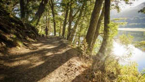 Caminar por el bosque para aprender a cuidar el ambiente en San Martín de los Andes