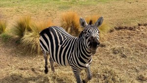 Fin de semana largo en Alto Valle: naturaleza y sabores para descubrir