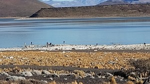 La temporada de pesca invernal está en marcha en el Parque Nacional Laguna Blanca