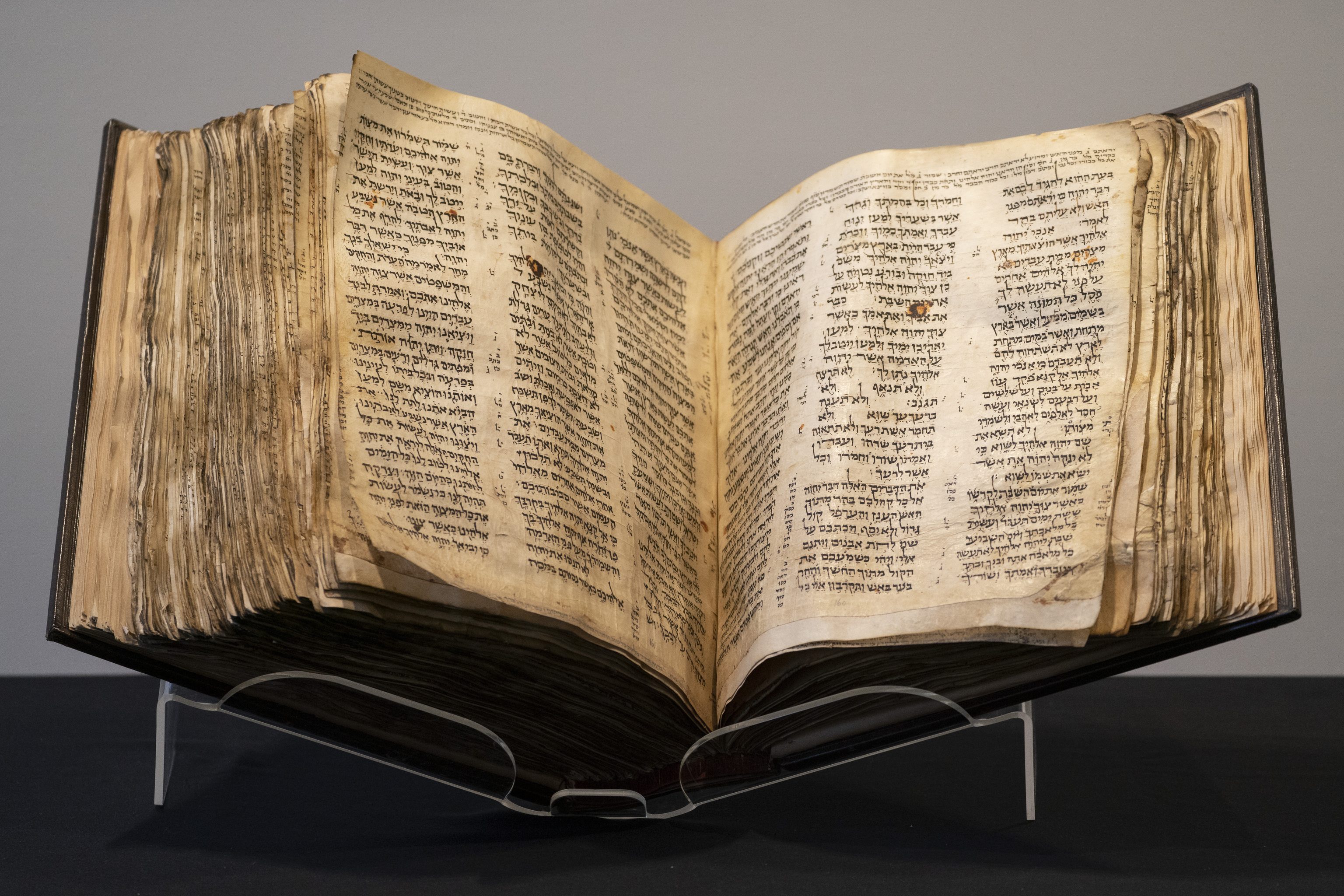 El documento se encontraba en un antiguo libro almacenado en los archivos del Vaticano. 