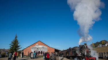 El mosaico, de 14 metros cuadrados, está en escala de grises simulando una antigua fotografía de la primera Estación de Esquel. Fotos: Sayi Serra.