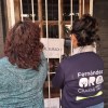 Imagen de Clausuraron un Grow Shop en Fernández Oro por una denuncia de vecinos