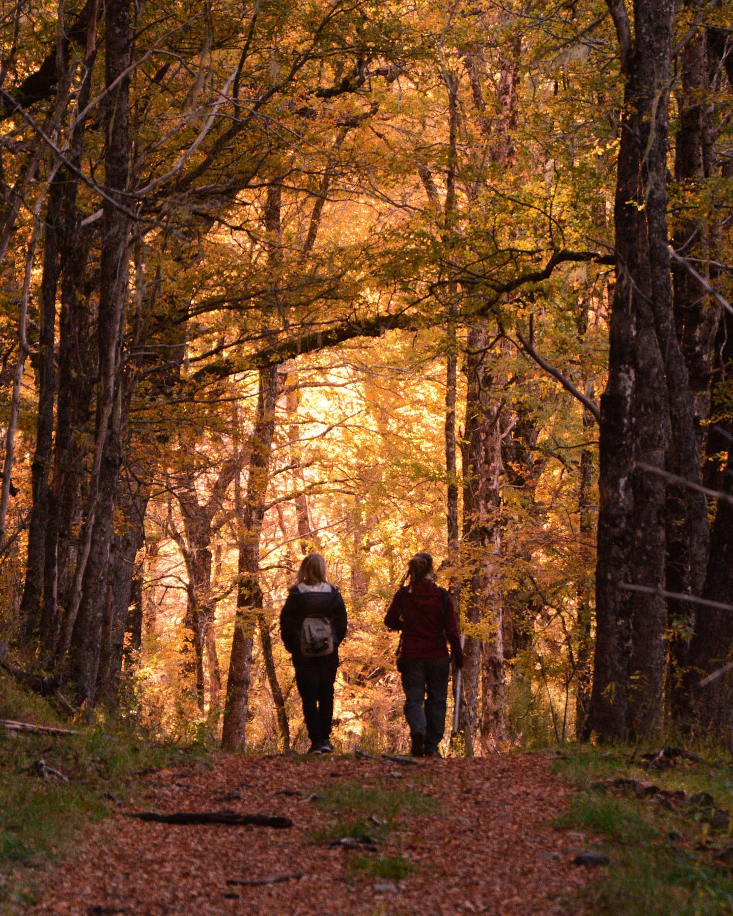 Por qu&eacute; este destino lleg&oacute; al 100% de ocupaci&oacute;n el fin de semana y qu&eacute; se puede hacer en oto&ntilde;o