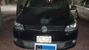 Recuperaron un auto robado en Cipolletti