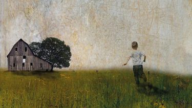 Todos los paraísos tambalean: «La mejor voluntad», de Jane Smiley