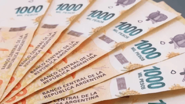 Nuevo bono de Anses: enterate acá si cobrás esta semana. 