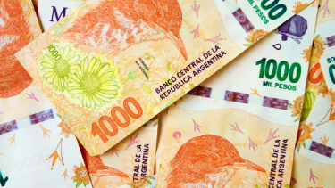 Becas Belgrano: lo que tenés que saber. 