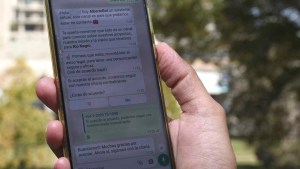 Inteligencia artificial para las elecciones de Río Negro: cómo funciona el chatbot de Weretilneck