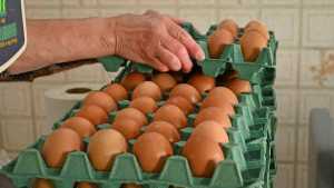 Se disparó el precio de los huevos en Neuquén y Río Negro: cuáles son los motivos