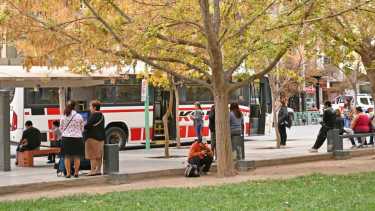 No hay colectivos de Koko en Neuquén y Río Negro: «Sin subsidios, el transporte se volvió inviable», dijo la empresa