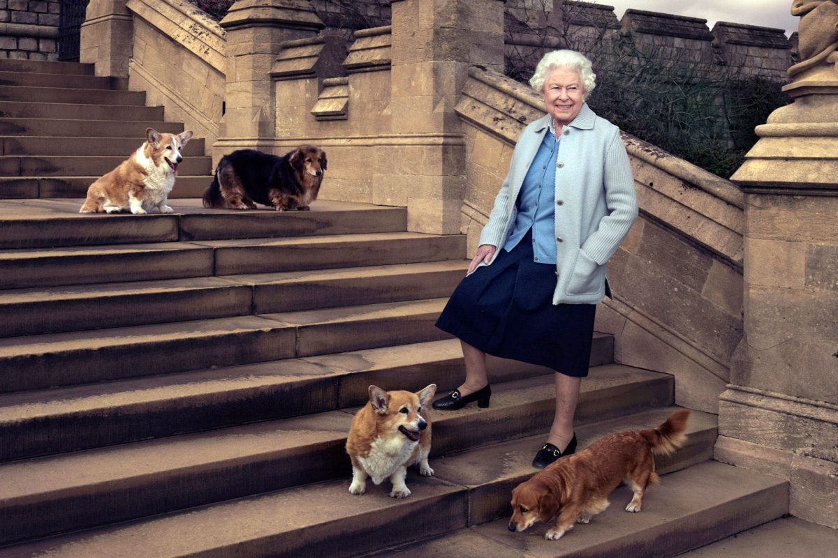Los perros corgis eran los favoritos de la Reina Isabel II, regalados por el príncipe Andrés y su exesposa Sarah Ferguson.-