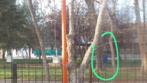 Una mujer denunció a un acosador que la persigue todos los días cuando viaja a su trabajo