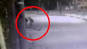 Video| Un policía mató a un delincuente en Berazategui y se fue en bicicleta: quedó detenido
