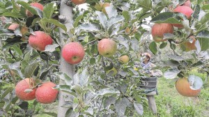 La gobernadora Arabela Carreras pidió más tiempo del “Dólar Agro”