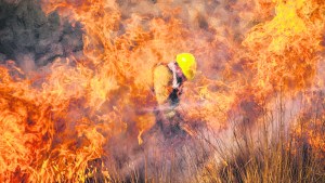 Bomberos voluntarios e incendios forestales: que Dios se lo pague