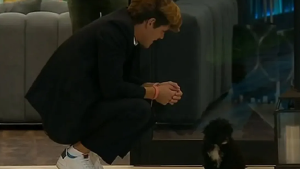 Cuánto sale la lujosa cama de Morita, la perra que Marcos adoptó en Gran Hermano