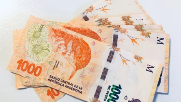 Las Becas Progresar otorgan distintos beneficios a los titulares. Archivo. 