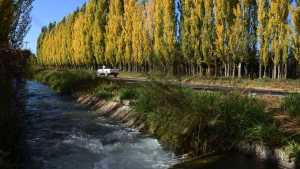 Así llega el otoño al Alto Valle: paseos para hacer en General Roca