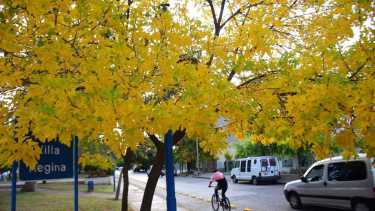 Turismo entre chacras y el río en Roca: un paseo en bicicleta gratuito, para disfrutar en familia
