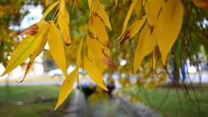 Clima: el pronóstico del tiempo en Neuquén y Río Negro para este miércoles 26 de abril de 2023