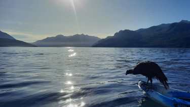 Un pueblo cordillerano de Neuquén compite por ser uno de los más lindos del mundo. 