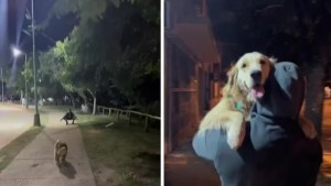 La peor traición: se reencontró con su ex cuando paseaba a su perra y la reacción del animal conmovió a todos