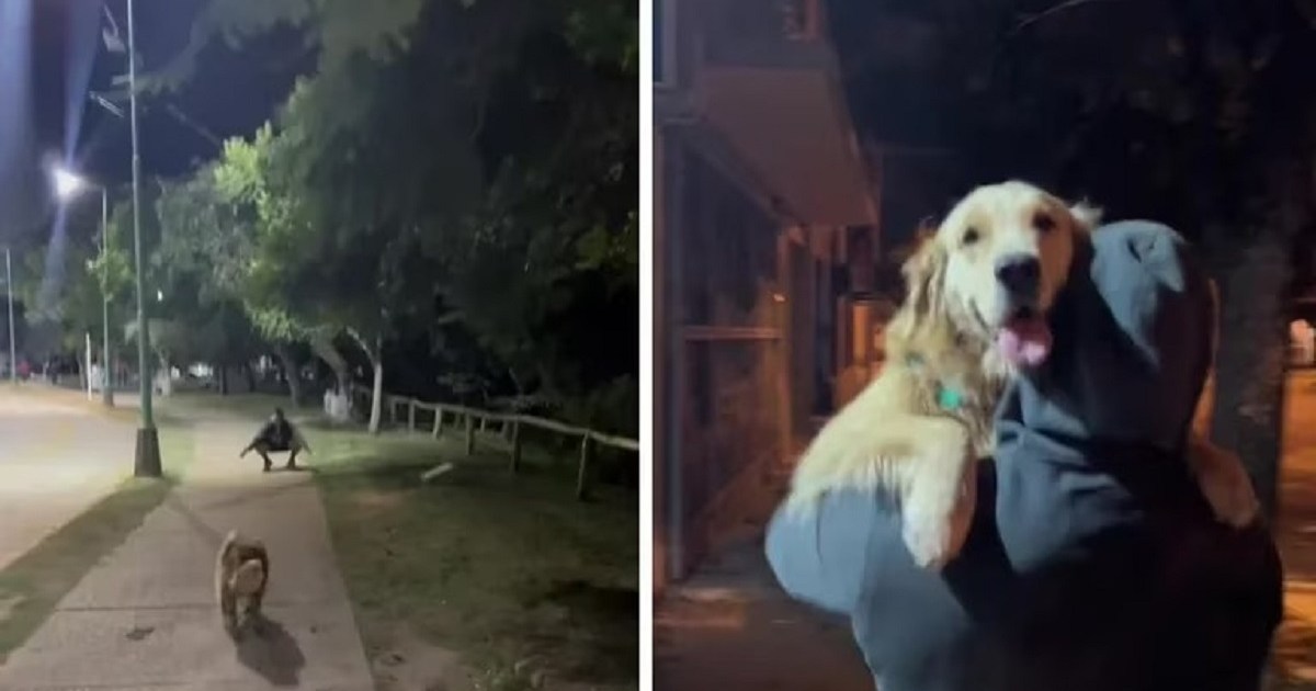 se reencontró con su ex cuando paseaba a su perra y la reacción del animal conmovió a todos thumbnail