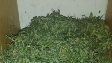 Pidió ayuda a la policía por un robo y lo imputaron por tenencia de marihuana, en Mainqué