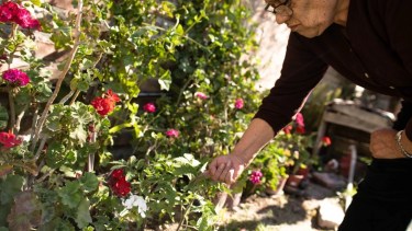 Fotos: Gonzalo Maldonado.
