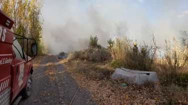 Ayer los bomberos trabajaron más de seis horas para controlar las llamas. Foto gentileza