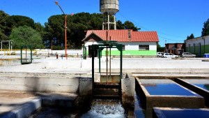 El viernes cortarán el servicio de agua potable en Viedma durante 16 horas