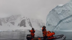Turismo en la Antártida: viaje a la base científica argentina más visitada por los cruceros