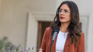 La vocera presidencial, Camila Vallejo,  afirmó que lo sucedido en Calama es otra muestra del incremento de los delitos violentos. 