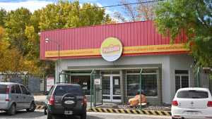 Gripe aviar en Cipolletti: las granjas de Pollolín están listas para criar aves