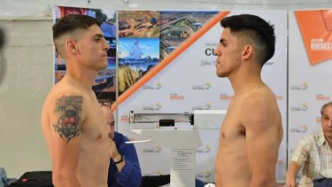 El campeón Daneff arriesgará su título frente a Isla en Cutral Co