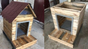 Arma cuchas para perros callejeros en Neuquén y pide donaciones para construirlas