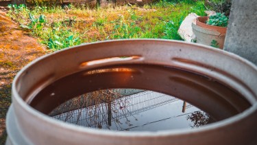 Nueva muerte por dengue, ahora en Rosario. 