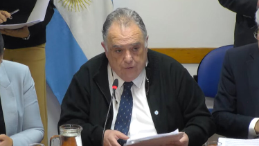 En vivo: Diputados trabaja en un proyectos de control y prevención del dengue
