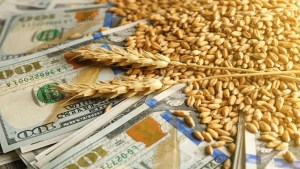 El «dólar agro» entra en vigencia: cuánto se espera liquidar desde las economías regionales